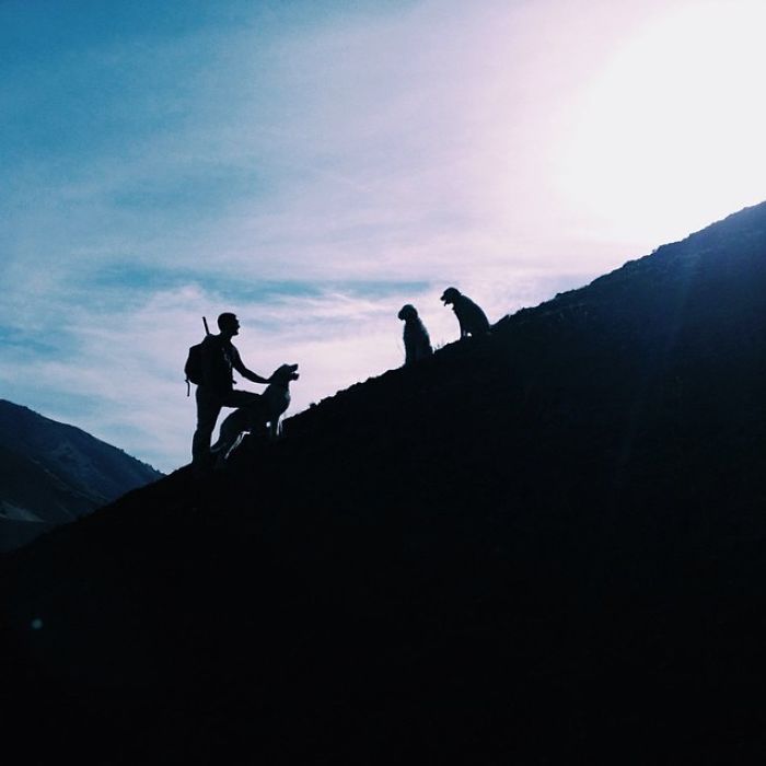 &#8220;Camping With Dogs&#8221; Instagram Will Inspire You To Go Hiking With Your Dog