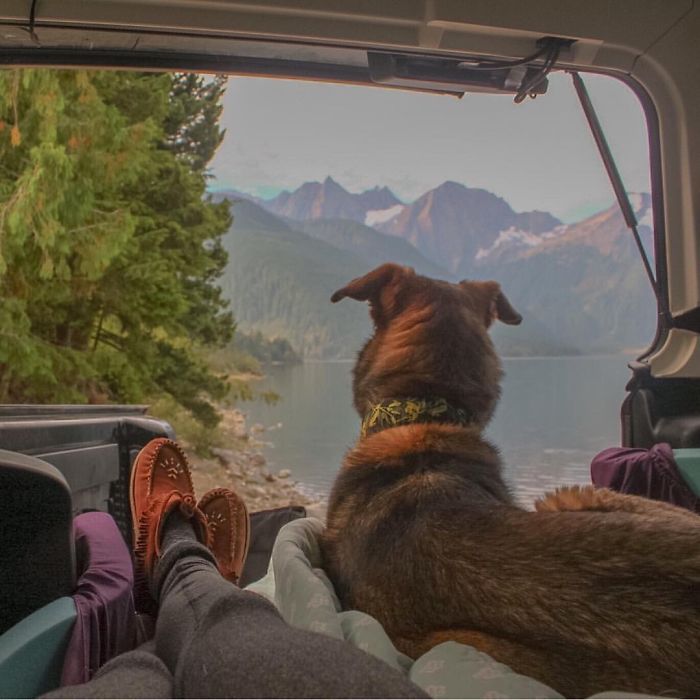 &#8220;Camping With Dogs&#8221; Instagram Will Inspire You To Go Hiking With Your Dog