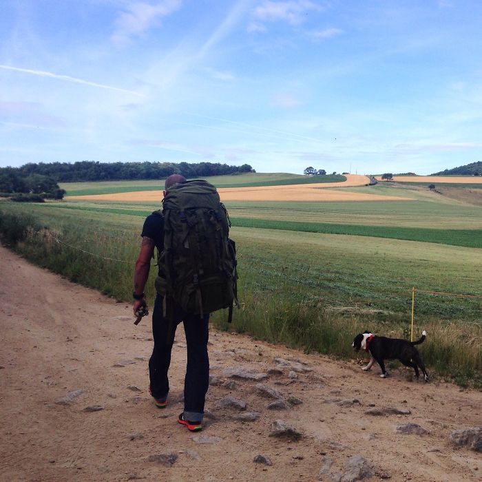 &#8220;Camping With Dogs&#8221; Instagram Will Inspire You To Go Hiking With Your Dog