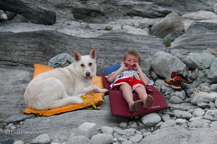 &#8220;Camping With Dogs&#8221; Instagram Will Inspire You To Go Hiking With Your Dog