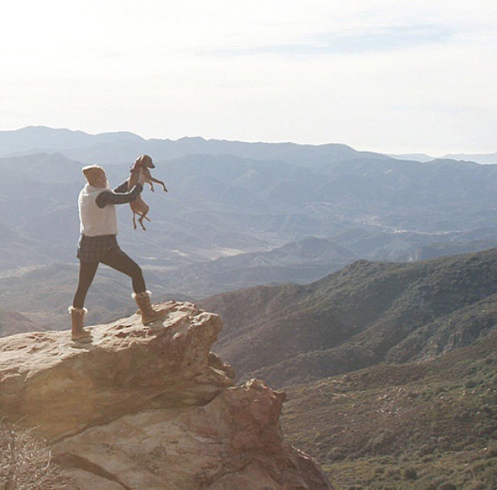 &#8220;Camping With Dogs&#8221; Instagram Will Inspire You To Go Hiking With Your Dog