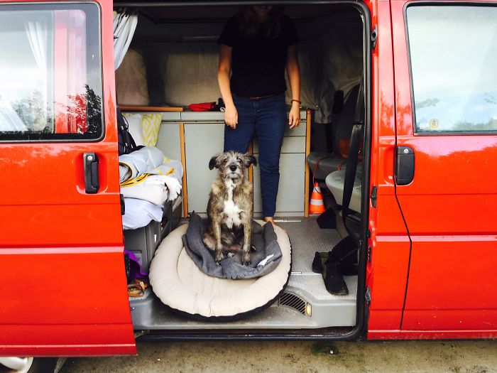 &#8220;Camping With Dogs&#8221; Instagram Will Inspire You To Go Hiking With Your Dog