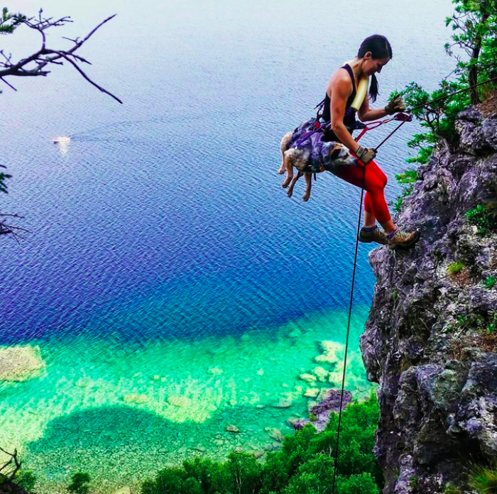 &#8220;Camping With Dogs&#8221; Instagram Will Inspire You To Go Hiking With Your Dog