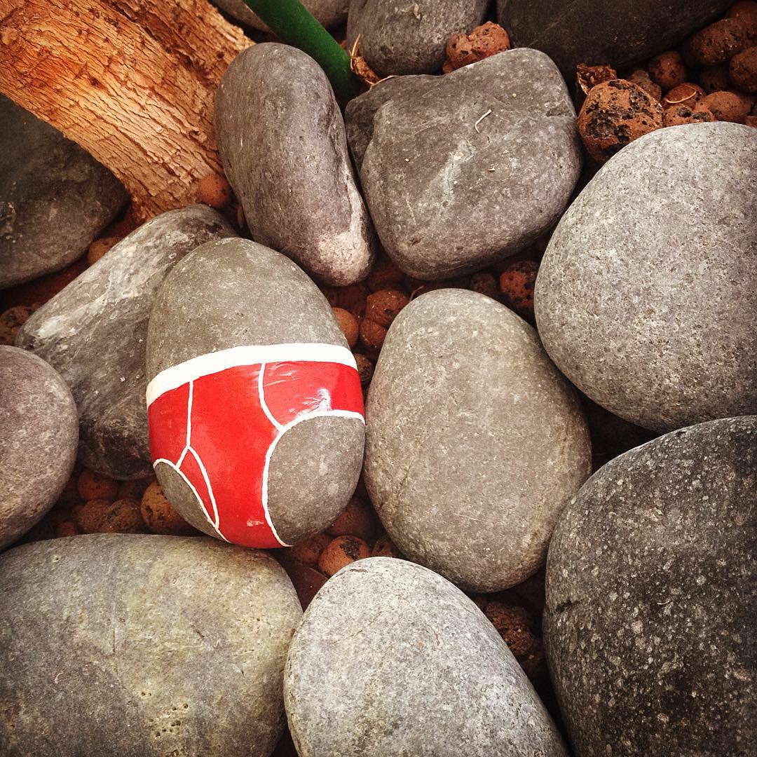 I Paint Underpants On Rocks To Criticize Nudity Censorship I Paint Underpants On Rocks To Criticize Nudity Censorship