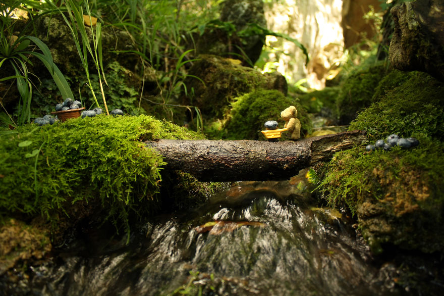 Learn How To Make Blueberry Jam With This Tiny Bear Learn How To Make Blueberry Jam With This Tiny Bear