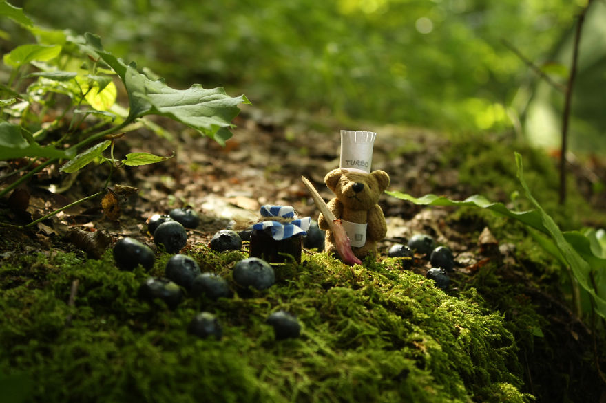 Learn How To Make Blueberry Jam With This Tiny Bear Learn How To Make Blueberry Jam With This Tiny Bear