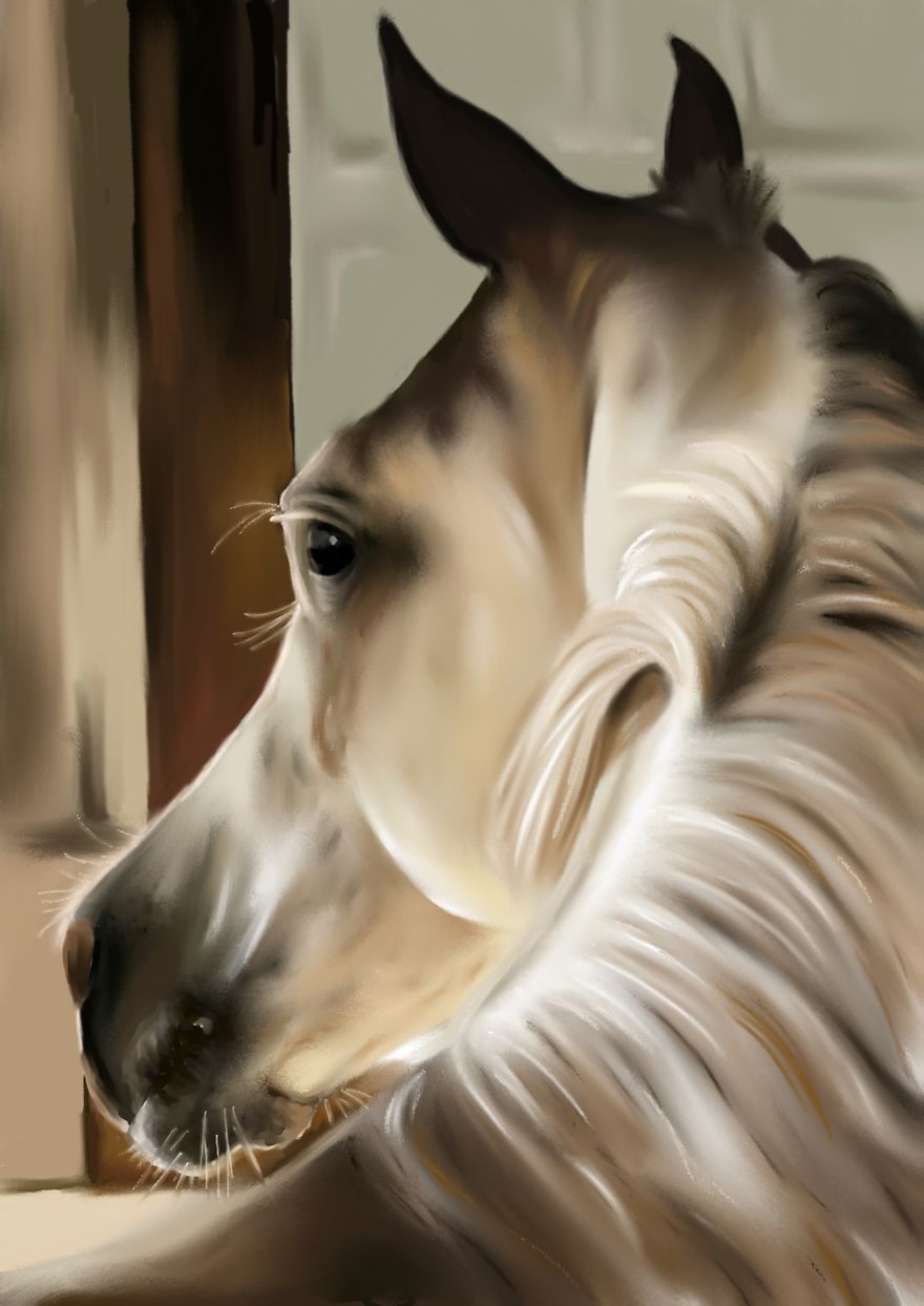 I Create Digital Horse Paintings I Create Digital Horse Paintings
