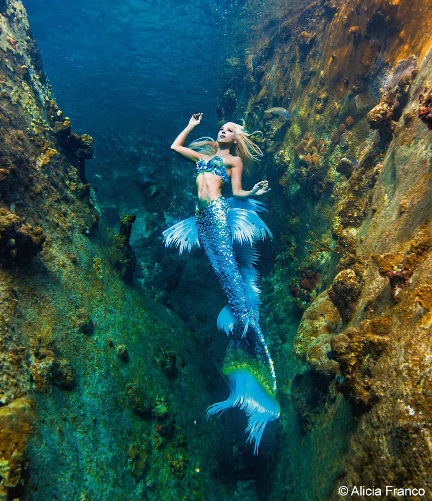 A Real-Life Mermaid Who Swims With Sharks Using Her Fish Tail And Holds Breath For 2 Minutes A Real-Life Mermaid Who Swims With Sharks Using Her Fish Tail And Holds Breath For 2 Minutes
