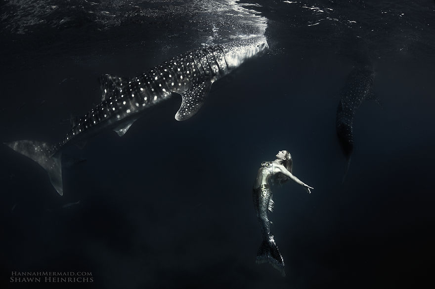 A Real-Life Mermaid Who Swims With Sharks Using Her Fish Tail And Holds Breath For 2 Minutes A Real-Life Mermaid Who Swims With Sharks Using Her Fish Tail And Holds Breath For 2 Minutes