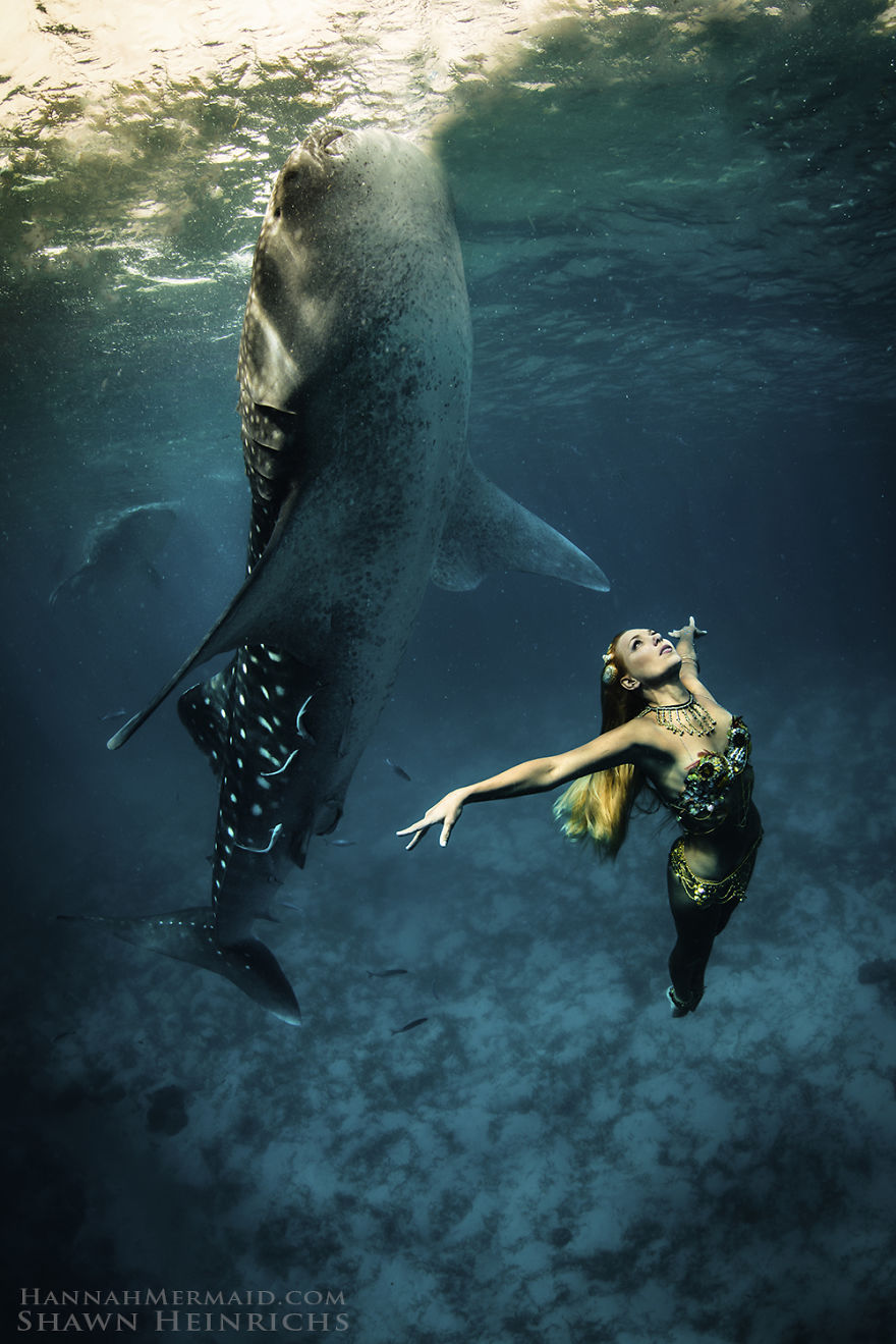 A Real-Life Mermaid Who Swims With Sharks Using Her Fish Tail And Holds Breath For 2 Minutes A Real-Life Mermaid Who Swims With Sharks Using Her Fish Tail And Holds Breath For 2 Minutes