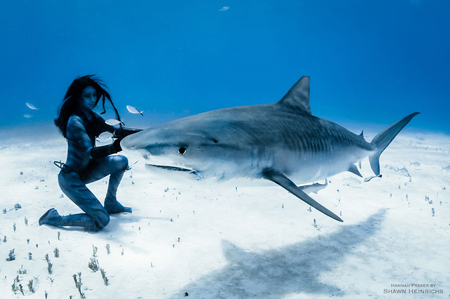 A Real-Life Mermaid Who Swims With Sharks Using Her Fish Tail And Holds Breath For 2 Minutes A Real-Life Mermaid Who Swims With Sharks Using Her Fish Tail And Holds Breath For 2 Minutes