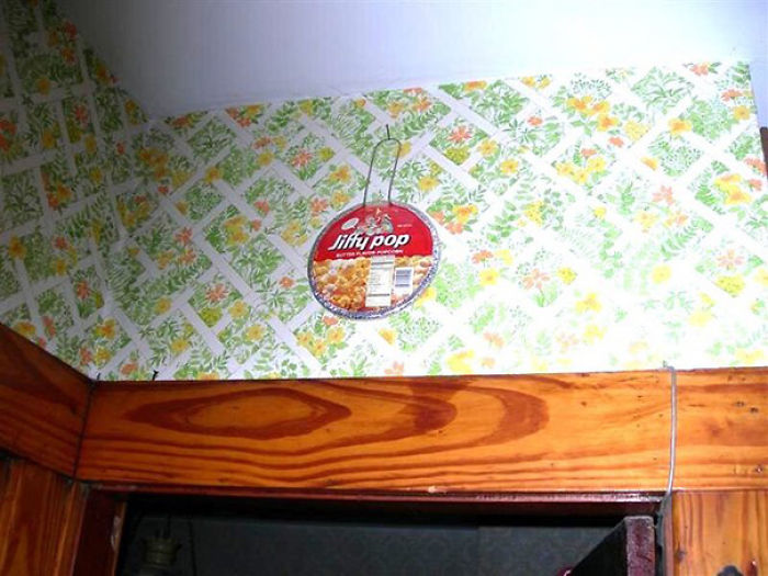 62 Times Broke College Students Proved They’re The Smartest People Ever 62 Times Broke College Students Proved They’re The Smartest People Ever