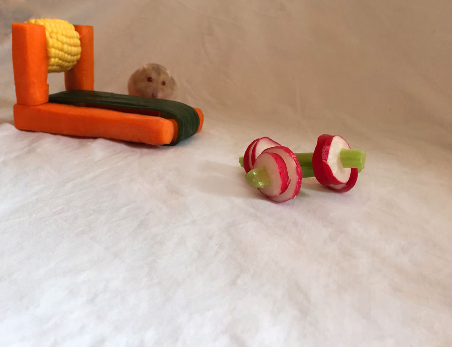 We Made A Tiny Vegetable Gym For Hamsters Who Hate Exercise We Made A Tiny Vegetable Gym For Hamsters Who Hate Exercise