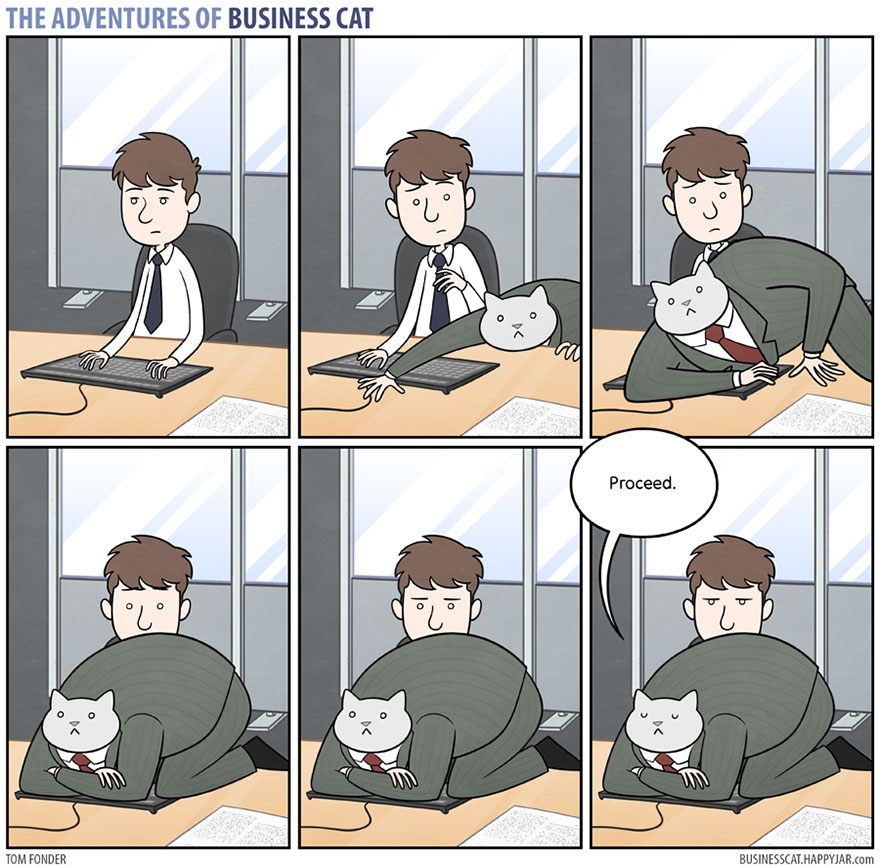 How Your Office Would Look If Your Boss Was A Cat How Your Office Would Look If Your Boss Was A Cat