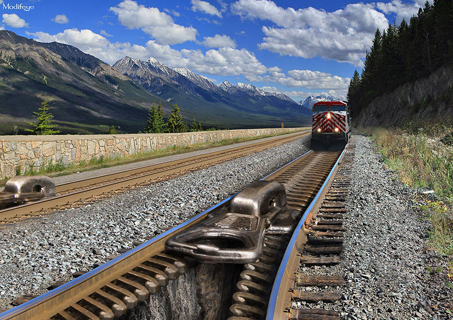 I Combine Wildlife And Urbanism Into Surreal Art