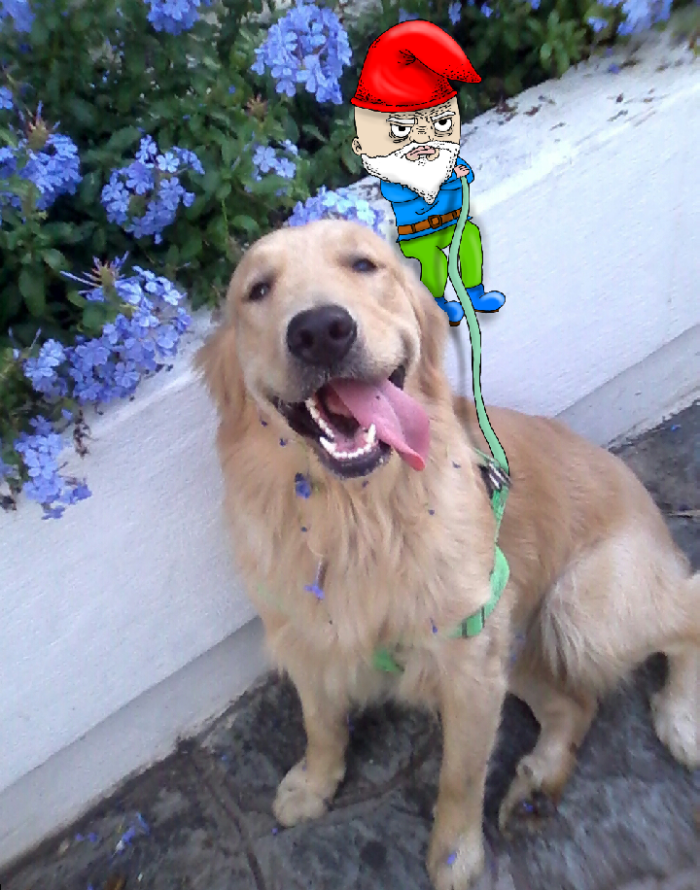 I Add Doodles To People’s Instagram Photos (Part 2) I Add Doodles To People’s Instagram Photos (Part 2)