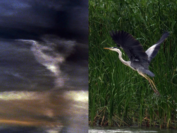 70 Things That Are Hilariously Similar To Each Other (Part 4)