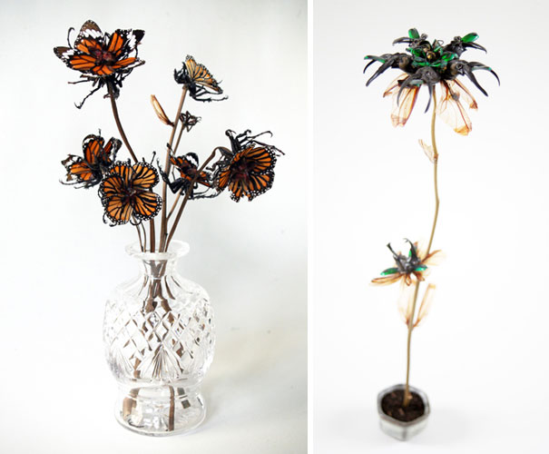 I Create Skull Collages And Flowers Out Of Insects And Spiders I Create Skull Collages And Flowers Out Of Insects And Spiders