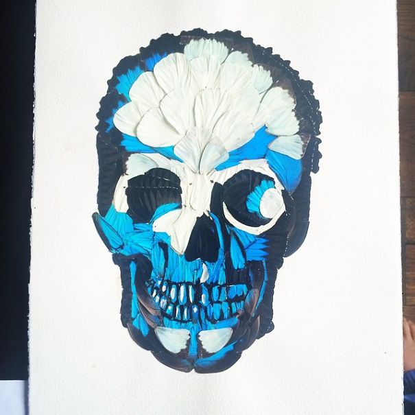 I Create Skull Collages And Flowers Out Of Insects And Spiders I Create Skull Collages And Flowers Out Of Insects And Spiders