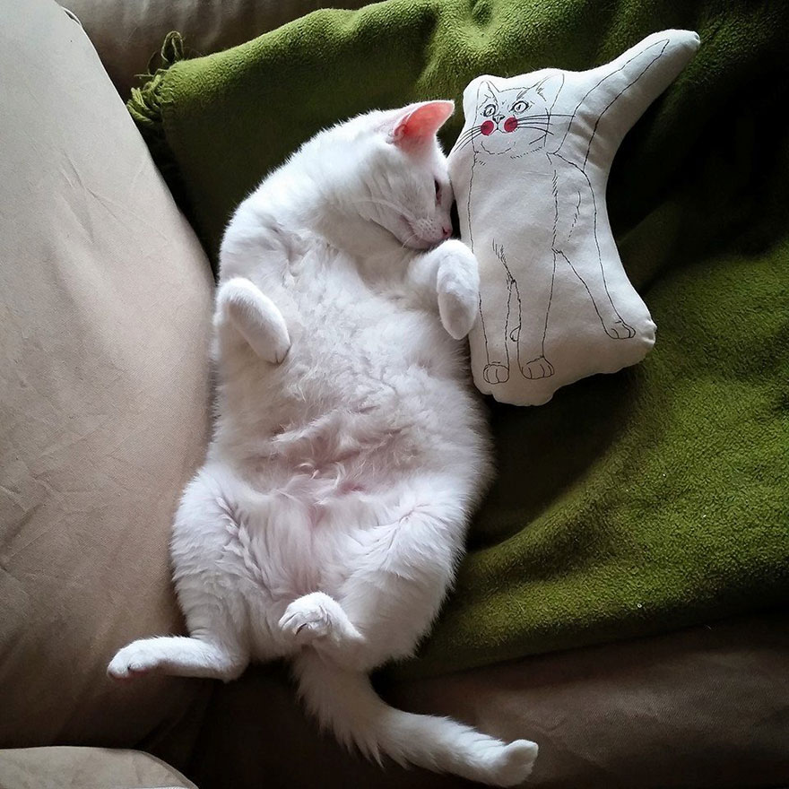 My Snow-White Cat Is My Favorite Model My Snow-White Cat Is My Favorite Model