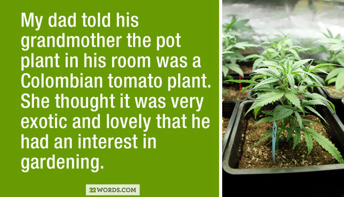 44 Funny Lies Parents Tell Their Kids 44 Funny Lies Parents Tell Their Kids