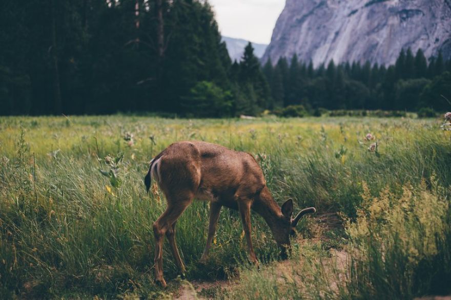 Nature Obsession: My Favorite Photos Of Nick Carnera Nature Obsession: My Favorite Photos Of Nick Carnera