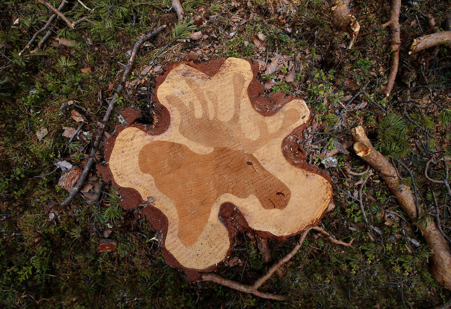 Deforestation Faces: I Show That We Kill Animals When We Destroy Forests