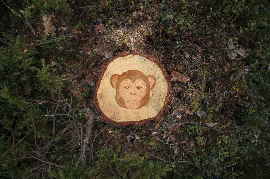 Deforestation Faces: I Show That We Kill Animals When We Destroy Forests