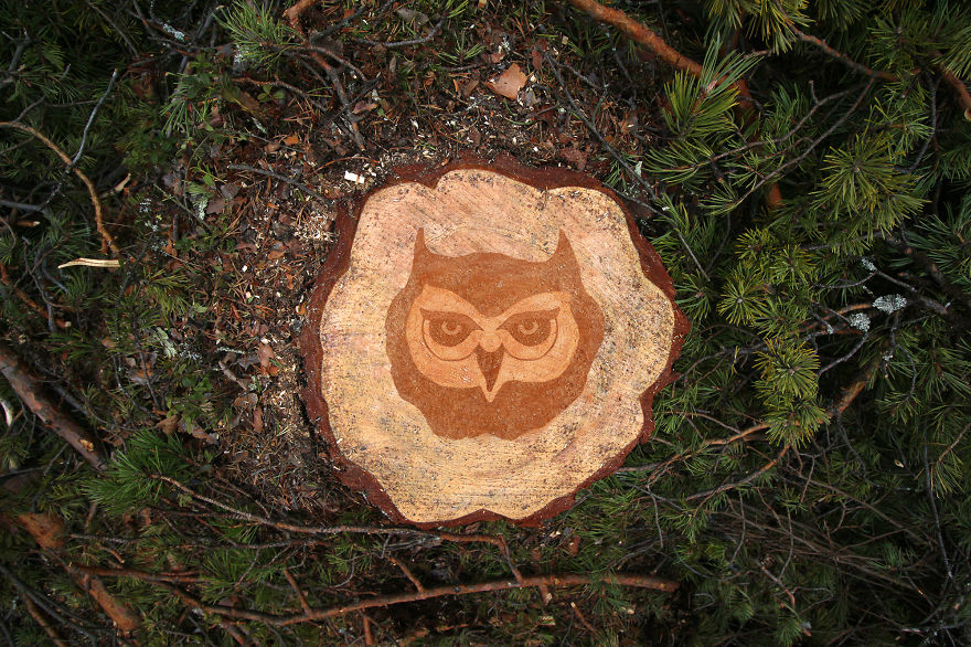 Deforestation Faces: I Show That We Kill Animals When We Destroy Forests