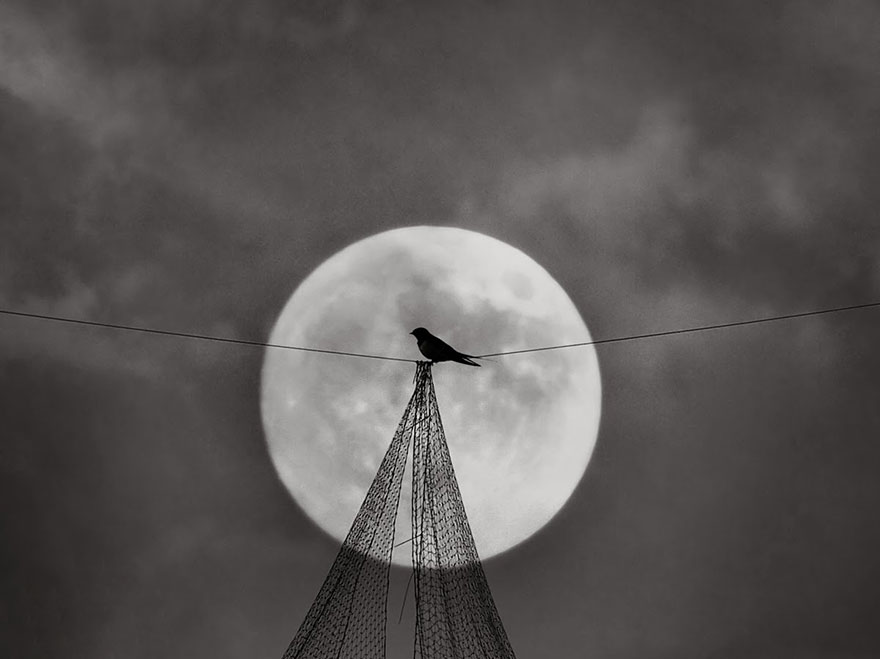 I Look For Art When I Go Birdwatching I Look For Art When I Go Birdwatching