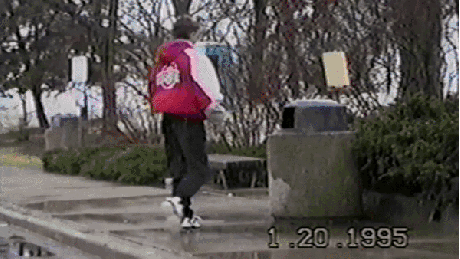 17 Moments When Trash Made Us Laugh (Cats And Otters Involved) 17 Moments When Trash Made Us Laugh (Cats And Otters Involved)