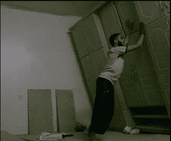 17 Moments When Trash Made Us Laugh (Cats And Otters Involved) 17 Moments When Trash Made Us Laugh (Cats And Otters Involved)