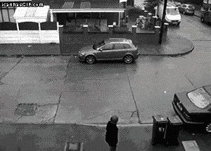 17 Moments When Trash Made Us Laugh (Cats And Otters Involved) 17 Moments When Trash Made Us Laugh (Cats And Otters Involved)