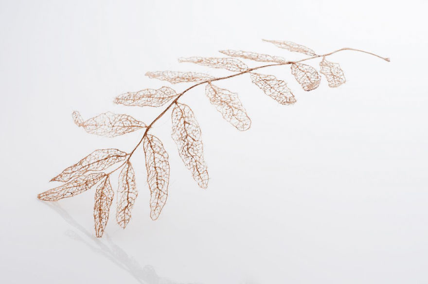 I Make Leaves Out Of Human Hair