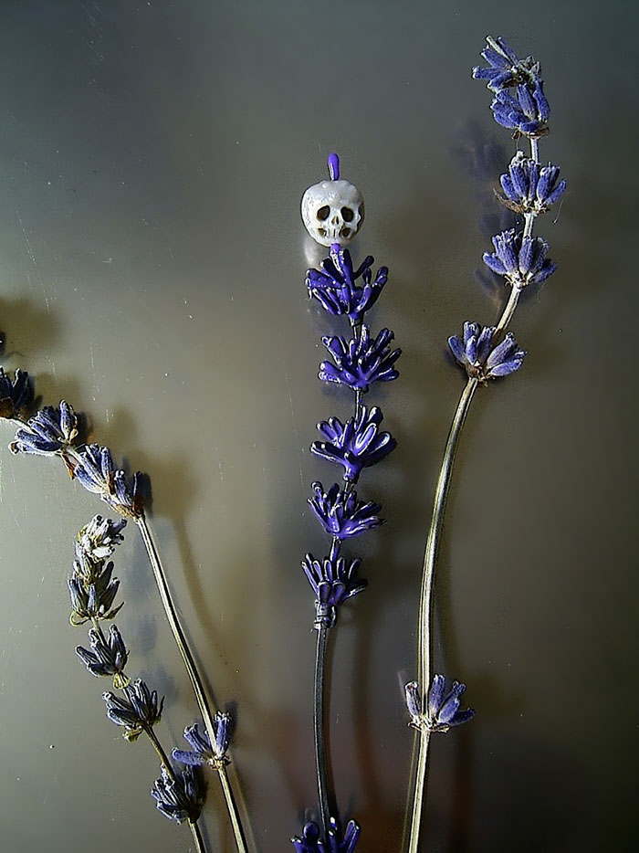 Japanese Artist Carves Pearls Into Skull Jewelry Japanese Artist Carves Pearls Into Skull Jewelry