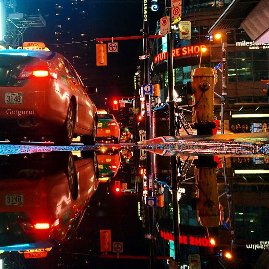 The Parallel Worlds Of Puddles The Parallel Worlds Of Puddles