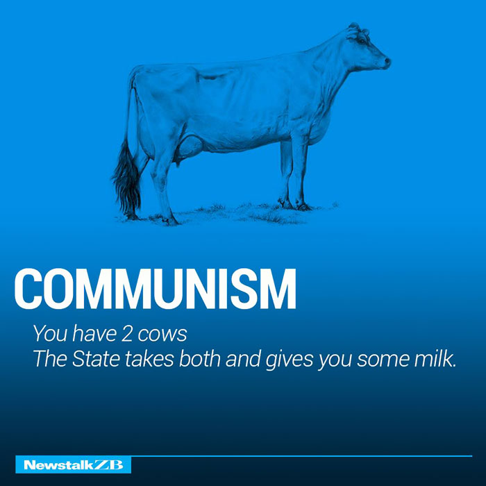 Two Cows Explain Economics Better Than Any Class Two Cows Explain Economics Better Than Any Class