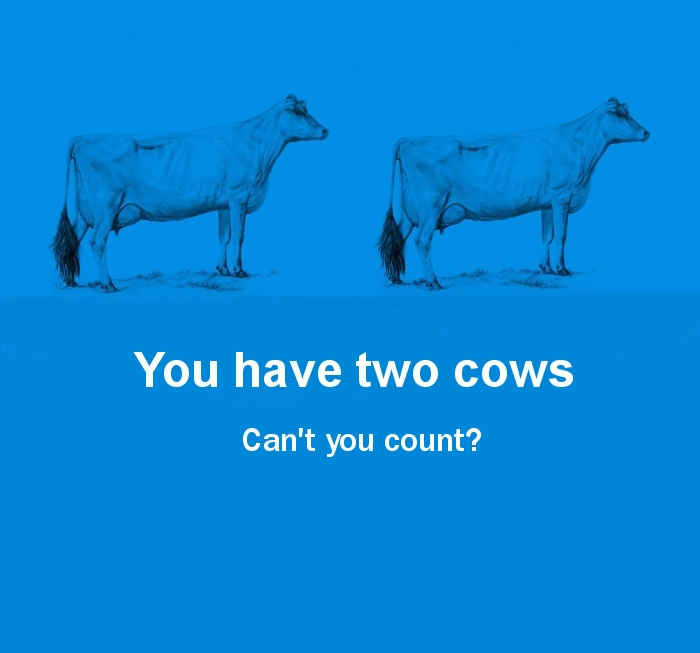 Two Cows Explain Economics Better Than Any Class Two Cows Explain Economics Better Than Any Class