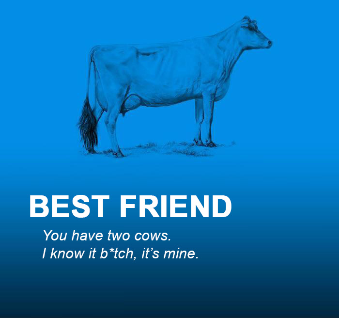 Two Cows Explain Economics Better Than Any Class Two Cows Explain Economics Better Than Any Class