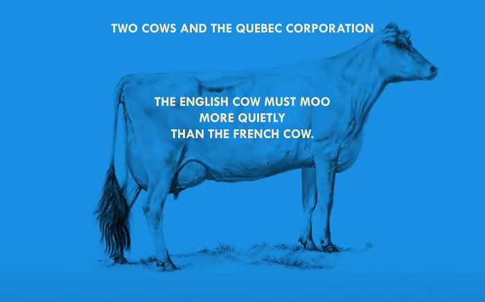 Two Cows Explain Economics Better Than Any Class Two Cows Explain Economics Better Than Any Class