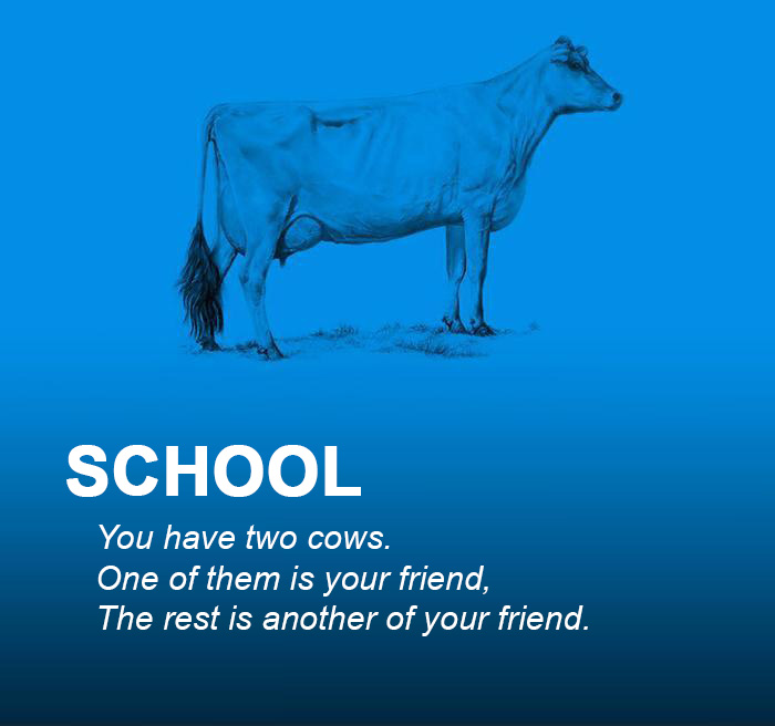 Two Cows Explain Economics Better Than Any Class Two Cows Explain Economics Better Than Any Class
