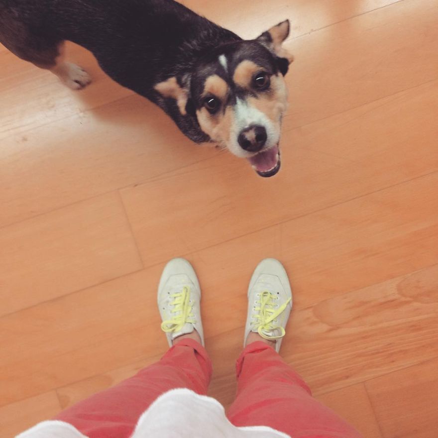 Portuguese Architect, Ballet Teacher And Illustrator Captures Her Life From Above Portuguese Architect, Ballet Teacher And Illustrator Captures Her Life From Above