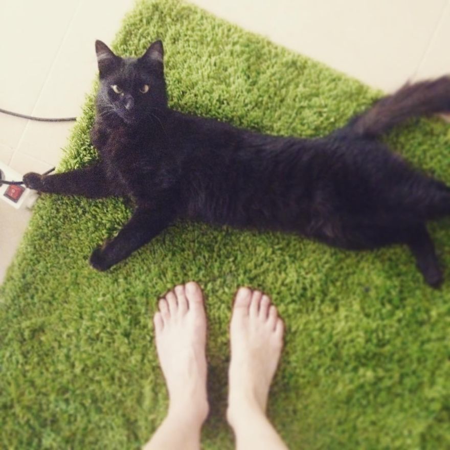 Portuguese Architect, Ballet Teacher And Illustrator Captures Her Life From Above Portuguese Architect, Ballet Teacher And Illustrator Captures Her Life From Above