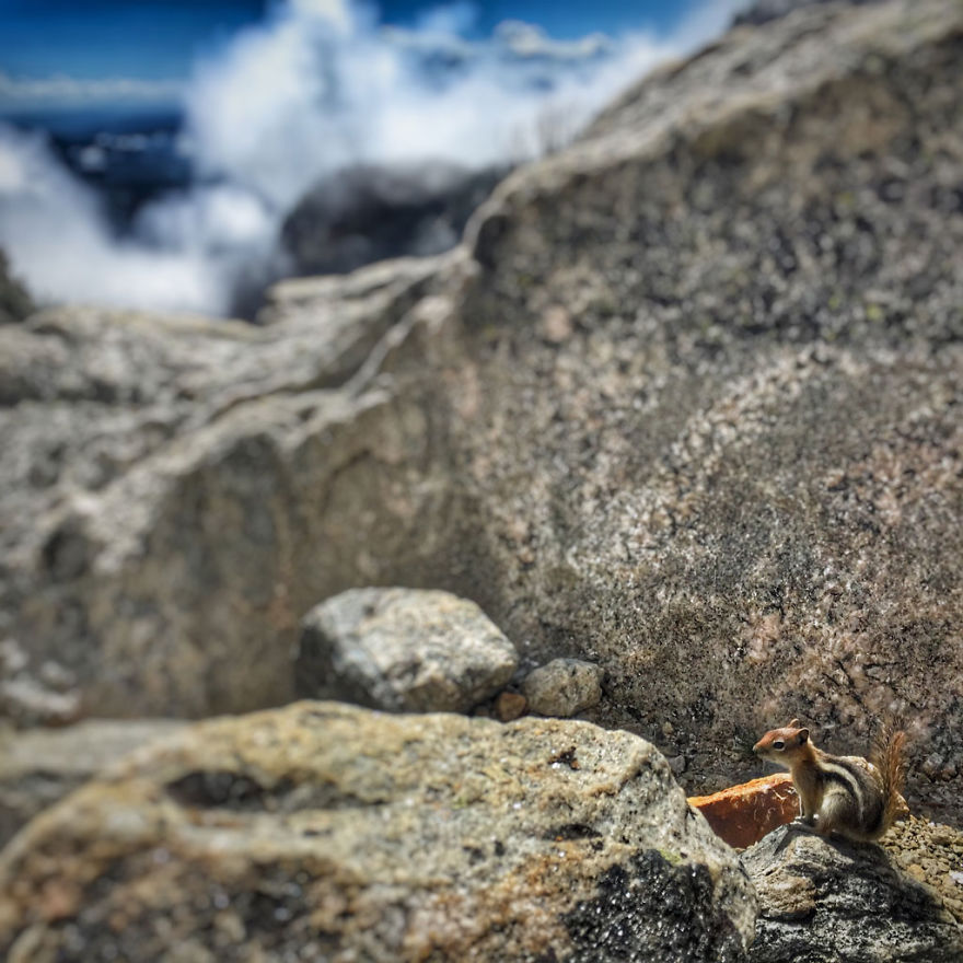 I Live In My Truck With My Dog And Travel Across The Country