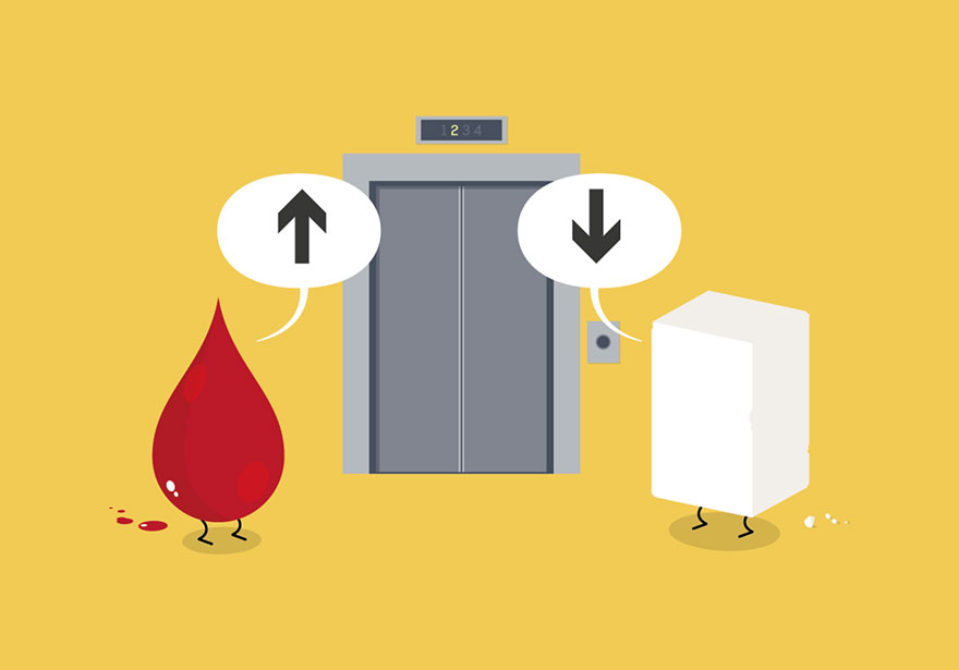 The Tiny Adventures Of Everyday Objects