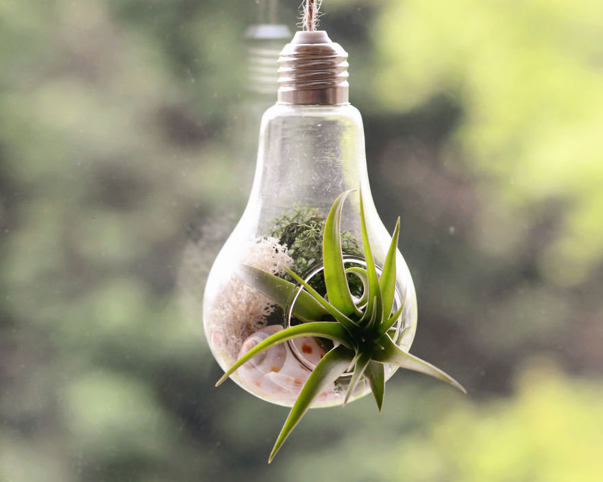 Create Your Own Jurassic Park With Dinosaurs As Plant Holders Create Your Own Jurassic Park With Dinosaurs As Plant Holders