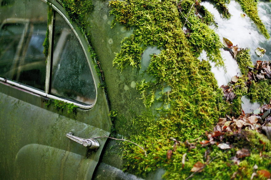 Hundreds Of Classic Abandoned Cars Hidden In Swedish Forest Hundreds Of Classic Abandoned Cars Hidden In Swedish Forest