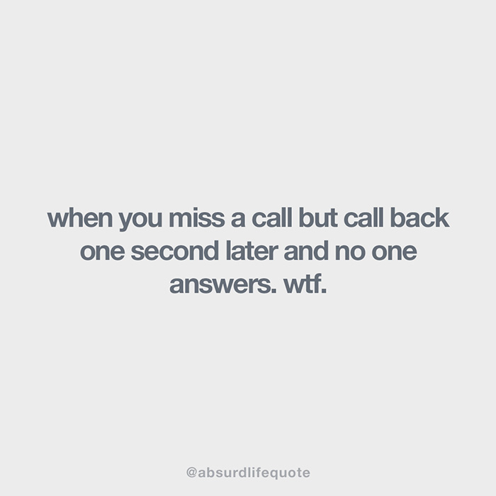 65 Absurd Life Quotes That Everyone Can Relate To