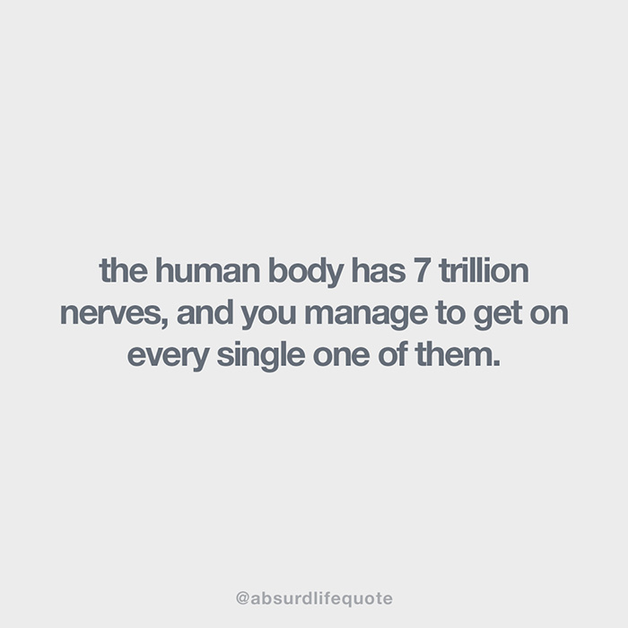 65 Absurd Life Quotes That Everyone Can Relate To