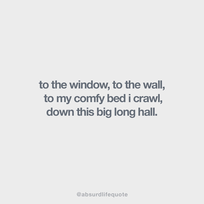 65 Absurd Life Quotes That Everyone Can Relate To